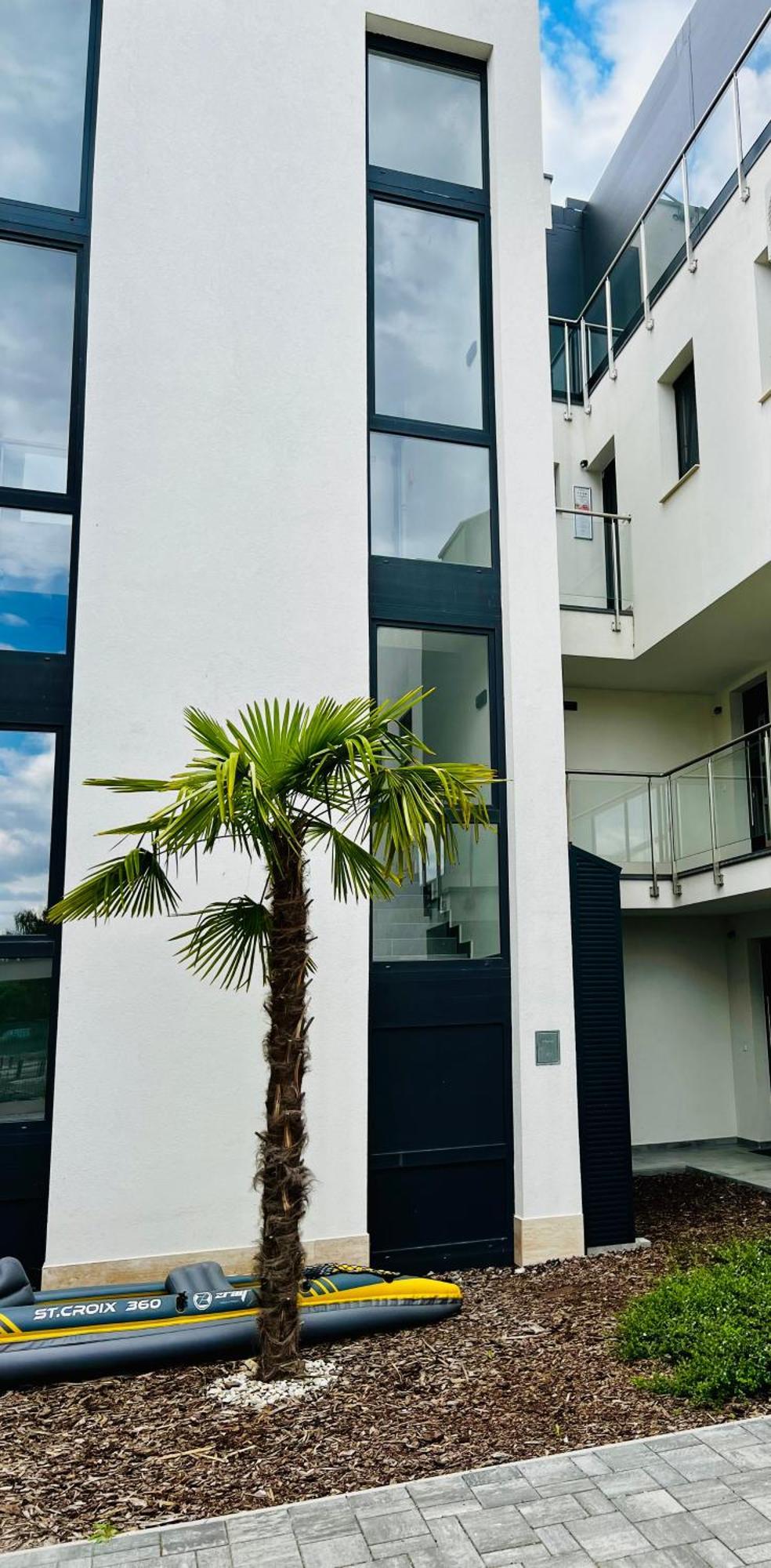 Balaton Bliss Lakeside Apartment
